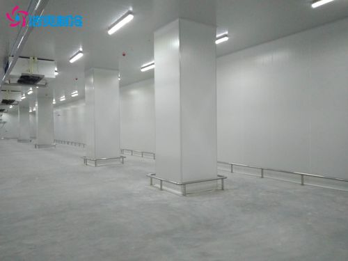 建造100萬斤鮮玉米保鮮冷庫與相關建筑材料供應指南